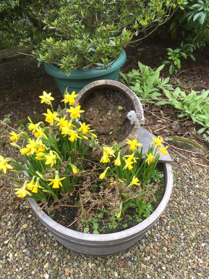 Spring in the Church Garden