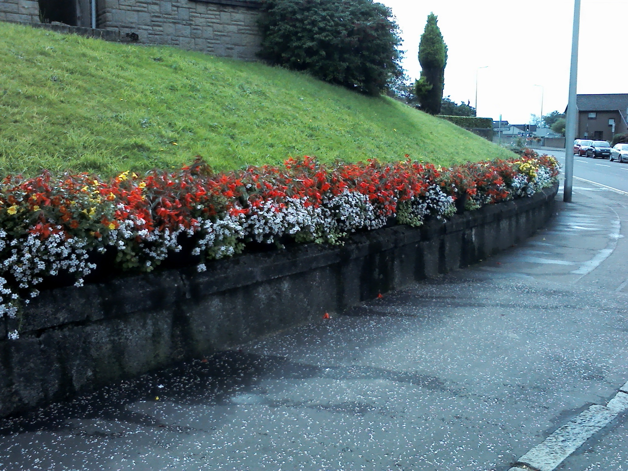 Springhill Brae Corner 2019